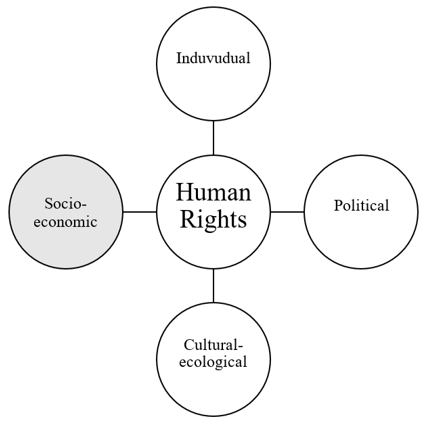 The place of socio-economic human rights in general rights